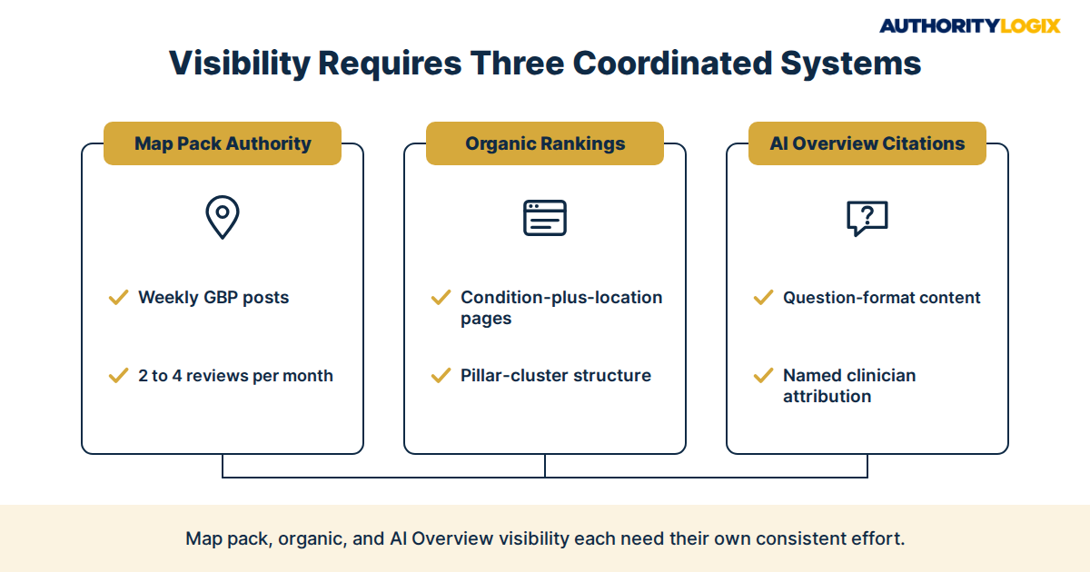 physical therapy local authority positioning search visibility components
